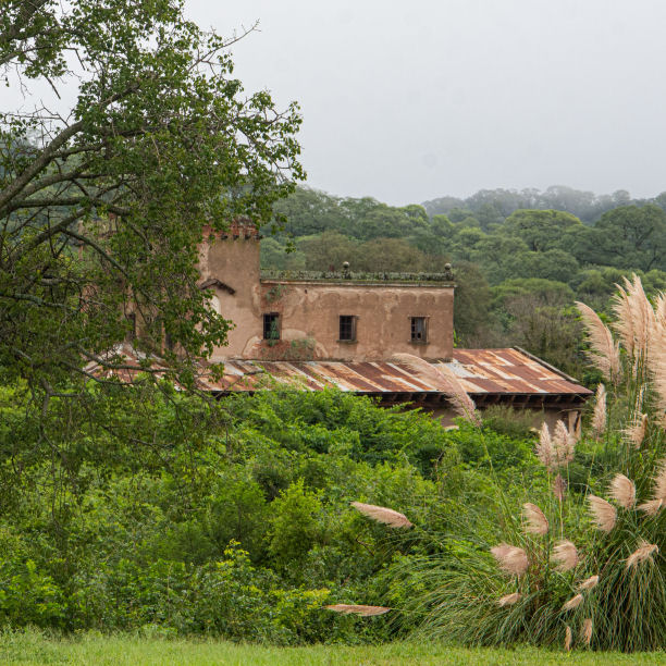 Paisaje y verde alrededor de Camino al Andén