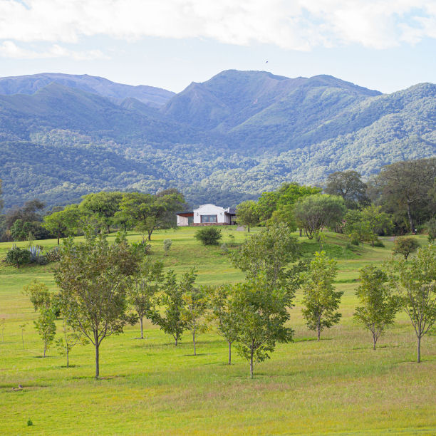 Ambiente natural e histórico de Camino al Andén